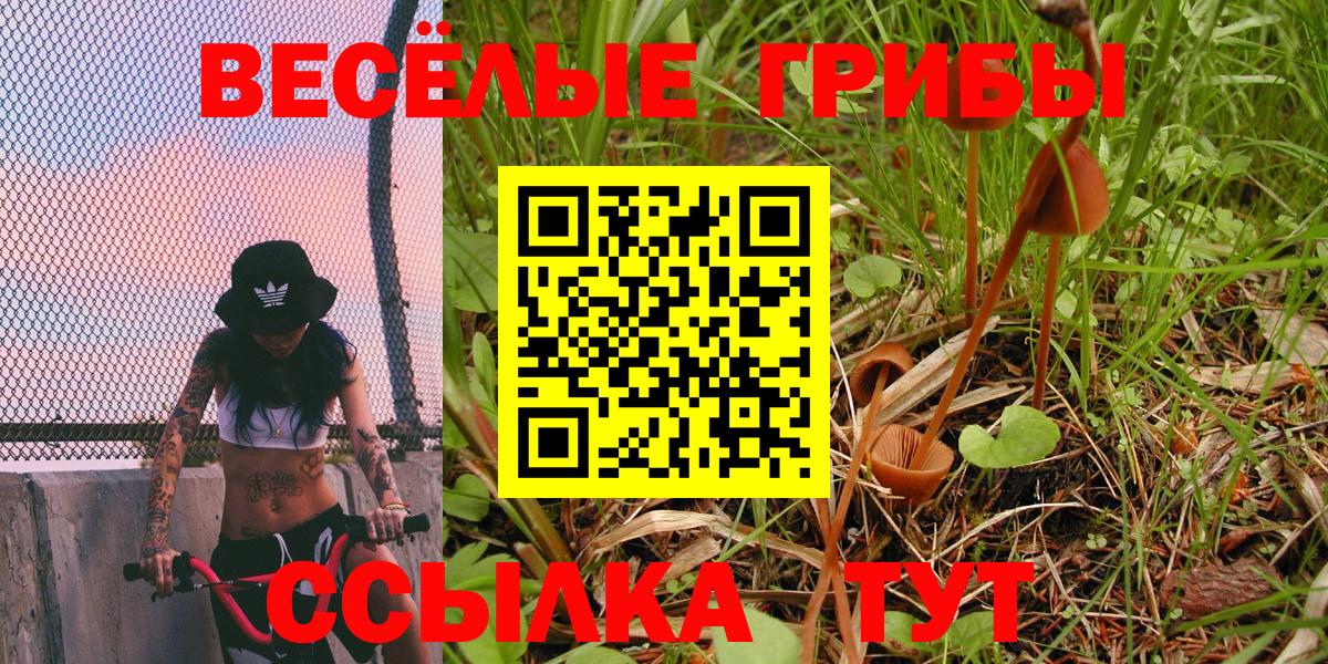 Галлюциногенные грибы Cubensis Дальнегорск