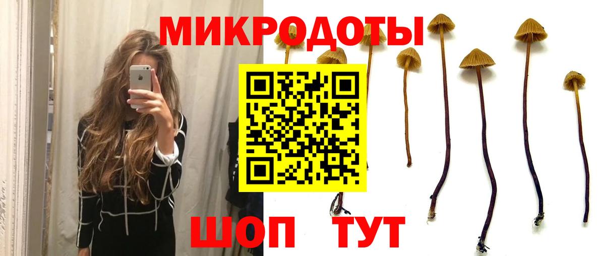 Дальнегорск  даркнет сайт  Вход с VPN  Псилоцибиновые грибы мицелий 